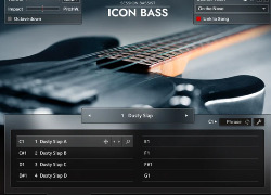 native instruments Session Bassist - Icon Bass